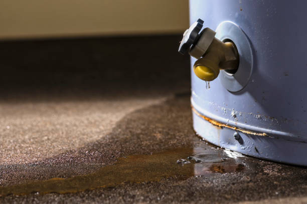 Best Ceiling water damage repair  in Prosperity, SC