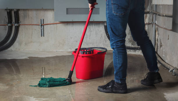 Best Sewage cleanup and water damage restoration  in Prosperity, SC