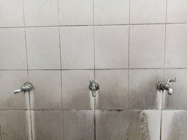  Prosperity, SC Water damage restoration Pros