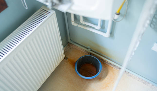 Best Professional water damage repair  in Prosperity, SC