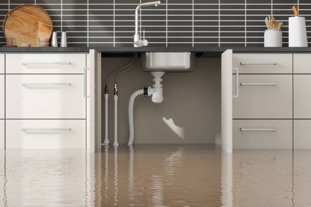 Best Flood restoration services  in Prosperity, SC