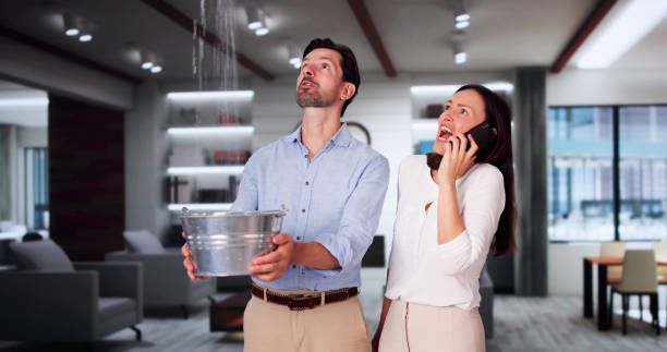 Best Water damage restoration near me  in Prosperity, SC