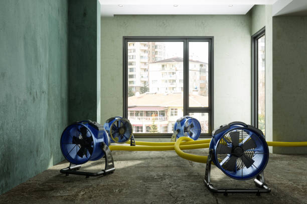 Best Flood restoration services  in Prosperity, SC